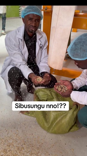 Why You're Constantly Sick: The Power of Food