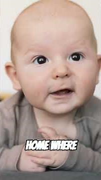 Forgotten Crash The 1950 West Virginia Plane Disaster