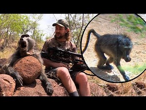 Baboon Hunt with a Crossbow - Mission SUB-1
