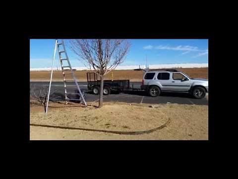 Ornamental Bradford Pear Tree Pruning