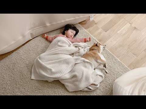 荒ぶるだけ荒ぶって最後は一緒に寝てしまう柴犬と娘が可愛い