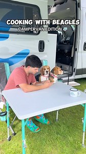 Taking cooking with beagles to the next level… on the road!! 🚐 Obviously our cooking options were limited in the campervan, but we think dad did pretty well considering! 🤣 #ad Ingredients used: pasta, salmon, cucumber, celery, peas #myhaydaydish #hayday #beagle #viral #viralvideos #dog #funnydog #cookingwithbeagles | Wisdom Kaye