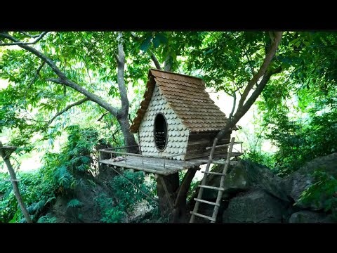 We Built a Treehouse in 3 days #diy #craft #Survival #building #house #bushcraft