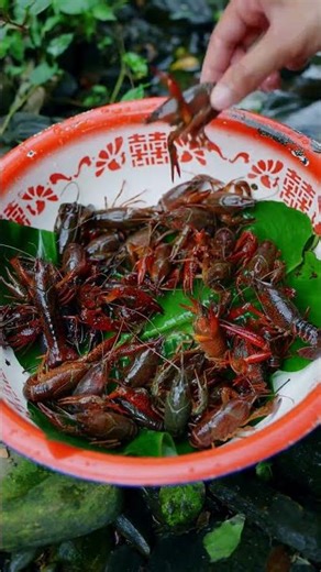 Catch & Cook: Crab Hot Pot in the Wild