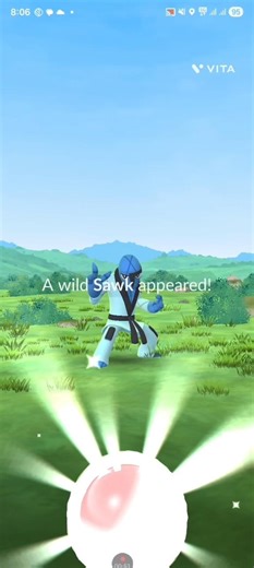 I Caught Sawk in Pokémon Go!
