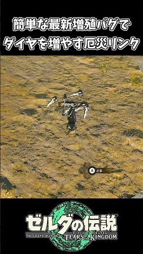 【ティアキン】最新増殖バグでダイヤを増やしまくるリンク【ゼルダの伝説 ティアーズ オブ ザ キングダム】