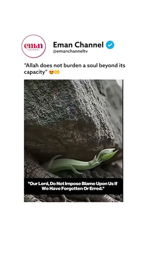 Whatever you’re going through, remember that Allah knows your limits better than anyone. 🤍