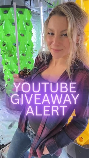 Natalie on Instagram: "🚨YOUTUBE GIVEAWAY ALERT🚨 THE FIRST TFP GIVE AWAY!!!!👑 Head on over to the giveaway short on my YT channel for a chance to win the FIRST TFP Giveaway!!!👑💜 LINK IN STORIES. The lucky winner will get ✨ A $100 Digital Gift Card To Baker Creek Seeds ✨ A TFP Hoodie ✨ TFP Stickers ✨ Special Beans from @cavssnakeoil Entry: Participants must leave a comment on the YT short answering the question. Rules: Canadian and US residents Only Must be 