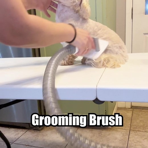 818K views · 10K reactions | AIRROBO PG100 pet grooming kit -The smart and simple way to groom your pet朗 | Airrobo | Facebook