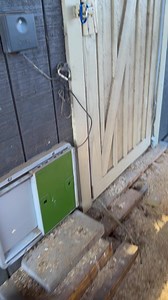 37K views · 850 reactions | I honestly do not have a clue how many birds are in my bantam flock so today I recorded them all coming out of the coop - how many do you count?!樂 | Gulf Coast Cluckers | Facebook