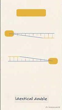 Polymerase Chain Reaction (PCR) Simply Explained 🧬 How it Works