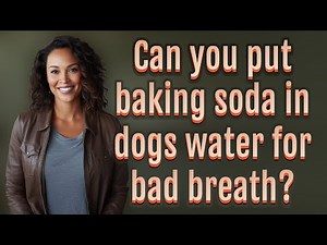 Can you put baking soda in dogs water for bad breath?