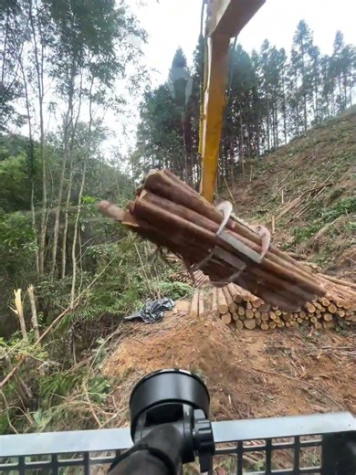 The Rotary Log Grapple That Moves Forests
