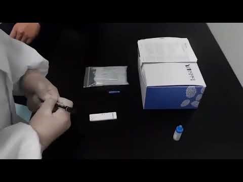 🔬 How to Use the IgM Rapid Test Kit-1 for Effective Detection | TSKT Biotechnology