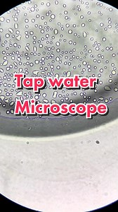 Reply to @evil_acid Tap Water under the microscope! This may surprise you!!! #microscope #water #interesting #tap #sink