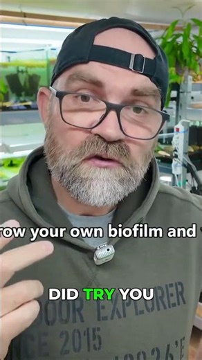 Improved Shrimp Biofilm Feeding Method!