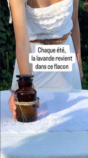 Macérât de lavande maison : recette simple et naturelle (huile de lavande DIY)