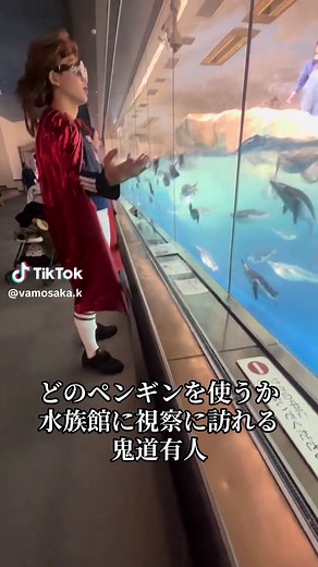 鬼道有人が選ぶペンギンの種類