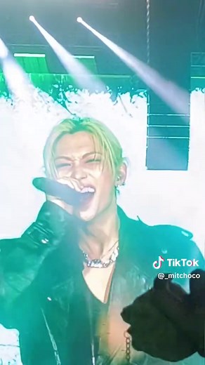 Stray Kids 2025: Memories and Highlights