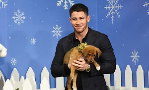 227K views · 2.1K reactions | Nothing will warm you up quicker than Nick Jonas and some adorable, adoptable puppies in their Christmas best. Find out more about these pups at North Shore Animal League America. | The Late Show with Stephen Colbert | Facebook