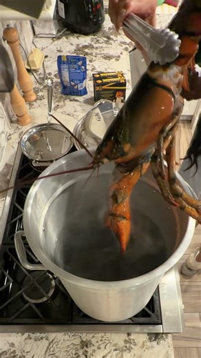 Bayou Classic Classic Outdoor Fryer Pot - 30 Qt Turkey Fryer- 4.7 reviews