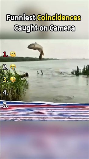 Hilarious Coincidences Caught on Camera!