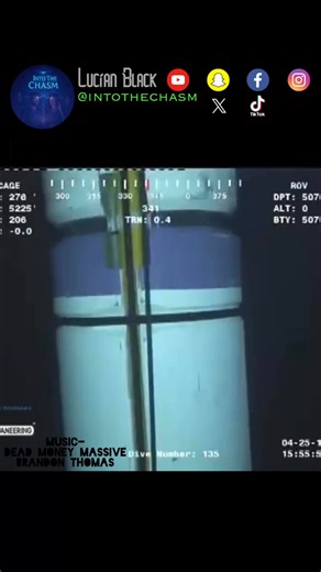 Deepstaria enigmatica, a type of extremely-rare deep-sea jellyfish, insane to see. | 𓂀 Into The Chasm 𓂀