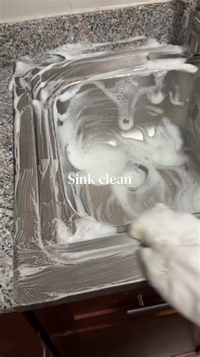 Sink Cleaning Project: Tips and Motivation