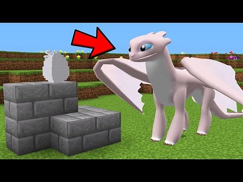 COMO FIZ O DRAGÃO FURIA DA LUZ NASCER NO MINECRAFT