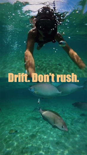 沖縄の水納島をinsta360で撮影してみた🌊