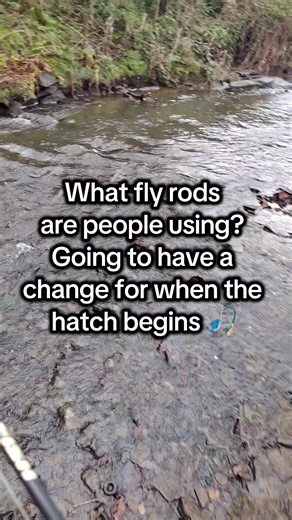 Top Fly Rod Recommendations for River Fishing