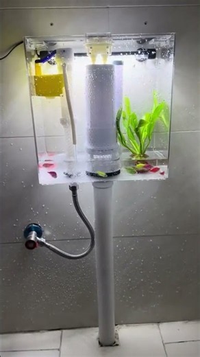 THIS IS THE BEST FISH TANK SETUP
