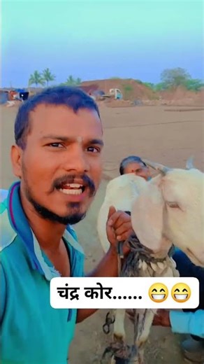 चंद्रकोर शेळी.... 🙏😁😁 #shortvideo #शेळी #शेळीपालनव्यवसाय #शेळीपालन #शेळीबाजार #shorts #मराठी #गरिबी
