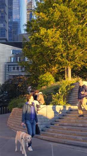 5.2K views · 395 reactions | New York | new.york.view | Facebook