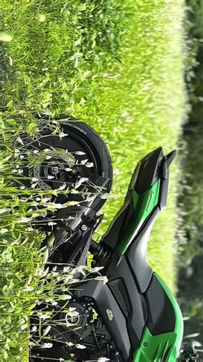 Why This 400cc Motorcycle is a BETTER Upgrade than a 1000cc