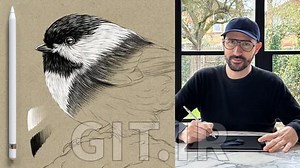 Procreate Essentials: The Black and White Pencil Technique