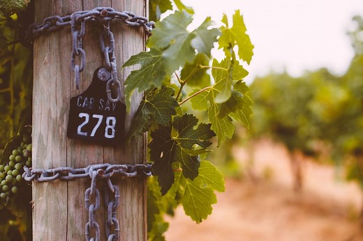 Cabernet Sauvignon: the king of Margaret River wines