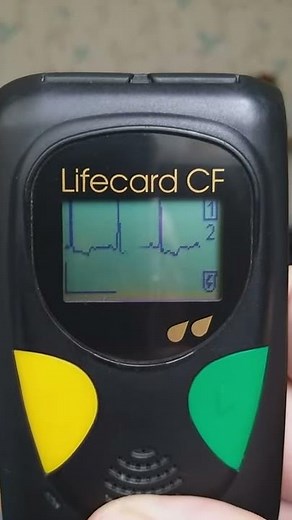 LifeCard CF