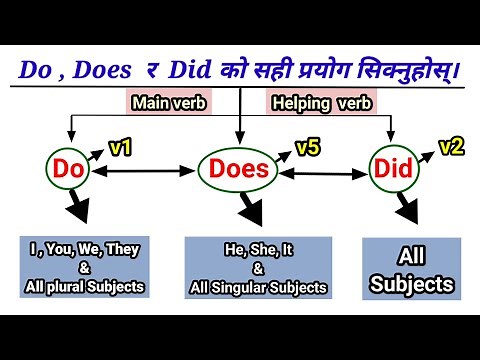 Correct Use of Do/Does/Did in English Speaking || Basic English Grammar || English Sadhana