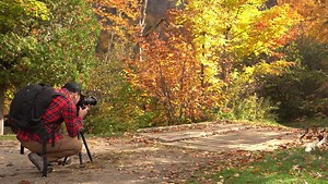 10 Beginner Tips for Fall Landscape Photography