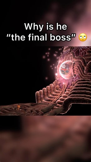 Who made HIM the final boss 🙄