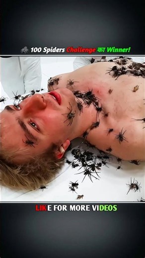 😱🕷️ 10 Minutes with 100 Spiders – Did the boy win?