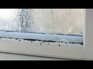 Repairing moisture caused by seepage - DIY