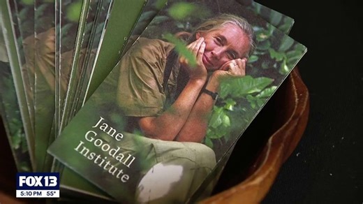 Tacoma honors Jane Goodall with community conservation event | Haystack News