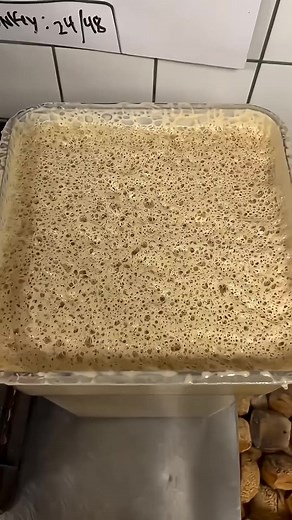 Hewan Peliharaan dari Tepung: Cara Merawat Sourdough Starter