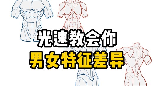 一个视频教会你零基础学画画如何分辨男女体型结构差异