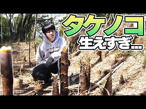 Can You Climb to the Top By Just Clinging to Bamboo!?