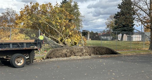 Photo Gallery: Weekend wind damage across Spokane