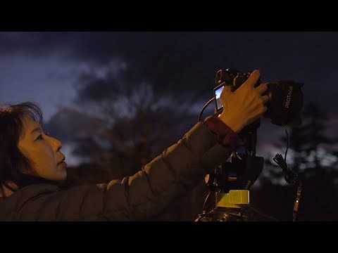 Introducing the Z7II Landscape Photographer Yuka Hoshino | Nikon