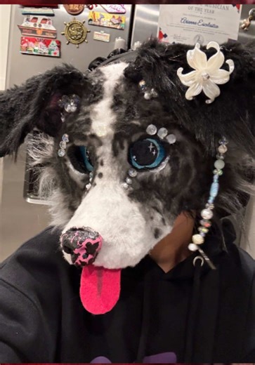Border Collie Mask Making Process and Sale Announcement